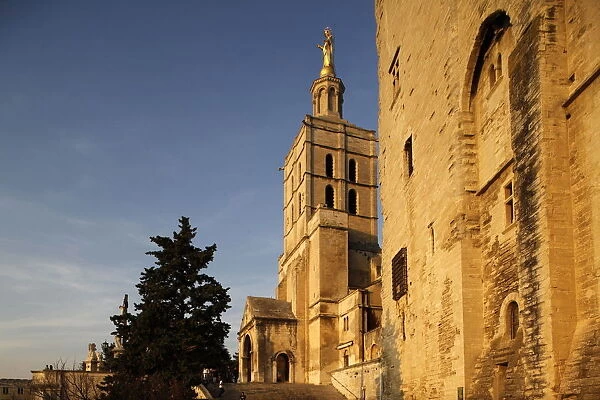 Cathedral and Palais des Papes, UNESCO World Heritage Site, Avignon, Vaucluse, France