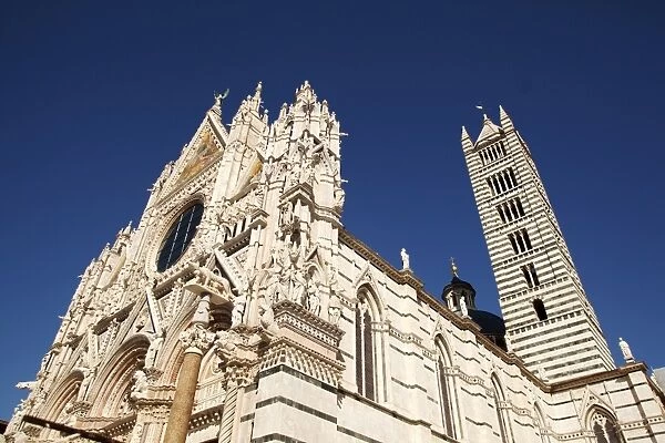 The cathedral of Siena, UNESCO World Heritage Site, Tuscany, Italy, Europe