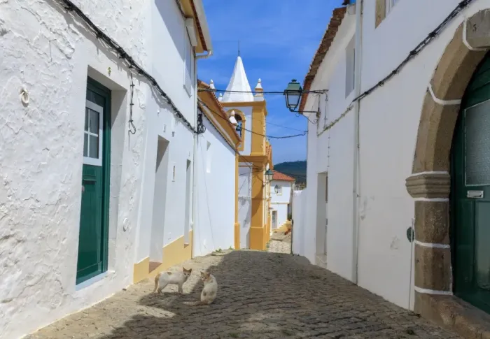 Framed Print : Two cats in a back street in Alegrete, a medieval walled village bordering Spain Framed Print : Two cats in a back street in Alegrete, a medieval walled village bordering Spain