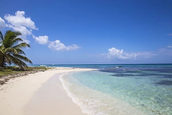 Catuano Beach, Saona Island, Parque Nacional del Este, Punta Cana, Dominican Republic