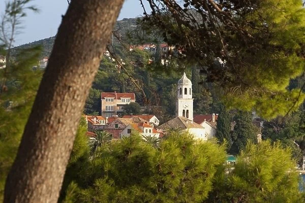 Cavtat town through trees, Cavtat, Dalmatia, Croatia, Europe