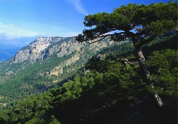 Cazorla National Park, Sierra del Pozo, Andalucia, Spain