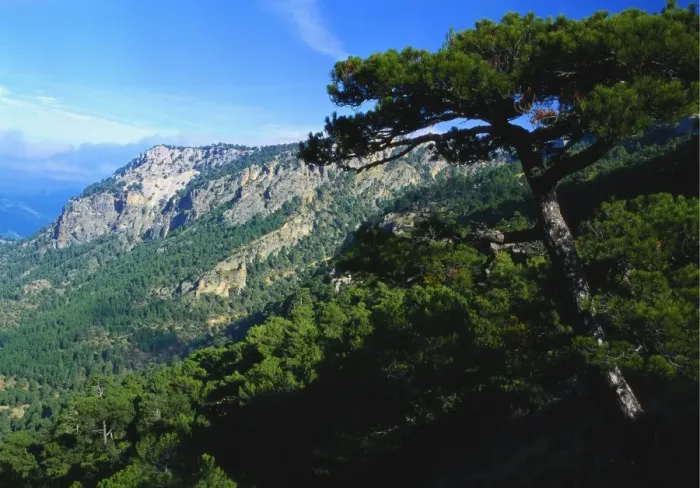 Framed Print : Cazorla National Park, Sierra del Pozo, Andalucia, Spain Framed Print : Cazorla National Park, Sierra del Pozo, Andalucia, Spain