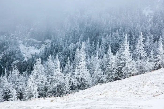 Framed Print : Ceahlau Massif in winter, Eastern Carpathians, Neamt County, Moldavia, Romania, Europe Framed Print : Ceahlau Massif in winter, Eastern Carpathians, Neamt County, Moldavia, Romania, Europe