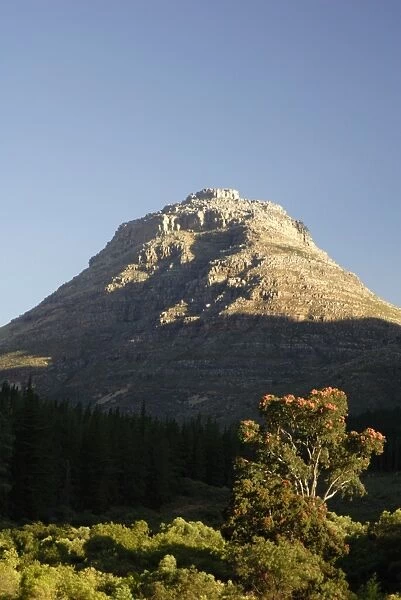 Cedarberg Mountains, South Africa, Africa