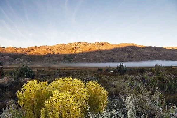 Cederberg Wilderness Area, Western Cape, South Africa, Africa