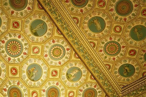 Ceiling, Syon House, Greater London, England, United Kingdom, Europe