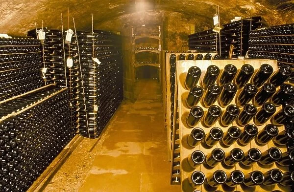 Cellar, champagne production