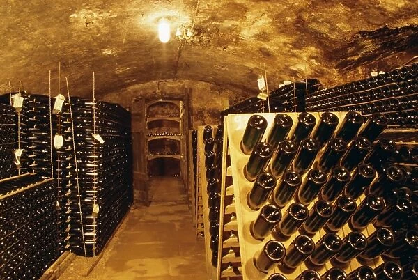 Cellar, wine production