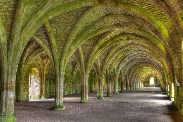 The Cellarium, Fountains Abbey, UNESCO World Heritage Site, North Yorkshire, Yorkshire, England, United Kingdom, Europe