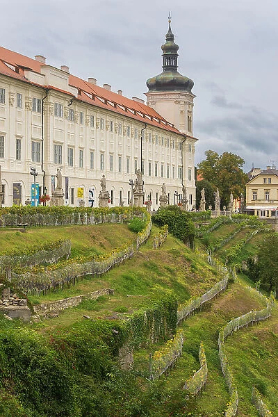 Central Bohemian Gallery and vineyards, Kutna Hora, Czech Republic (Czechia), Europe