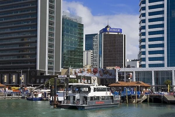 Central Business District, Auckland, North Island, New Zealand, Pacific