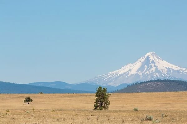 Central Oregons High Desert with Mount Hood, part of the Cascade Range, Pacific Northwest region