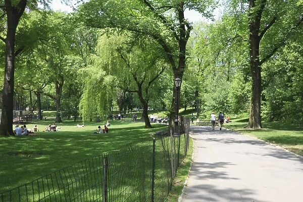 Central Park, Manhattan, New York City, New York, United States of America, North America