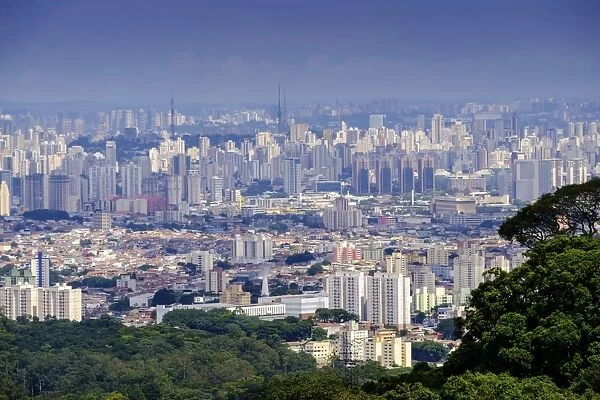 Central Sao Paulo from the rainforest of the Serra da Cantareira State Park, Sao Paulo
