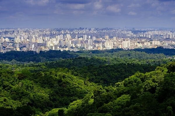 Central Sao Paulo from the rainforest of the Serra da Cantareira State Park, Brazil