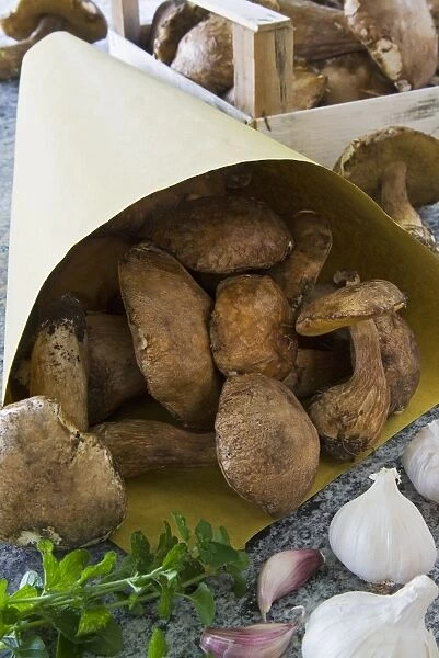 Ceps mushrooms (Boletus edulis) in a bag and in a wooden box, Italy, Europe