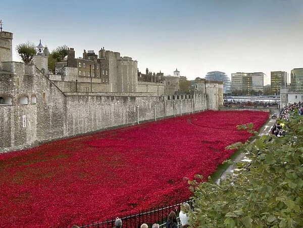 Ceramic poppies forming the installation Blood Swept Lands and Seas of Red to remember the Dead of the First World War, Tower of London, London, England, United Kingdom, Europe