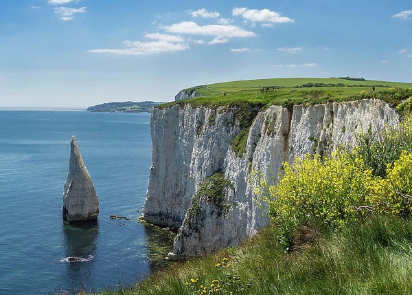 The Chalk cliffs of Ballard Down with The Pinnacles Stack in Swanage Bay, near Handfast Point