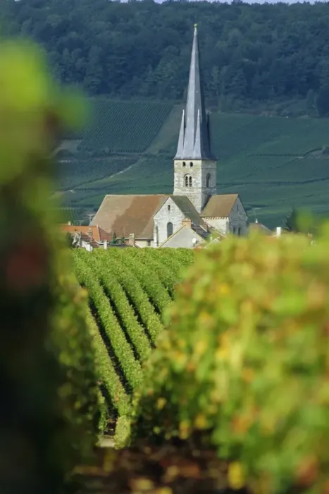 Framed Print : Chamery, Montagne de Reims, Champagne, France, Europe Framed Print : Chamery, Montagne de Reims, Champagne, France, Europe