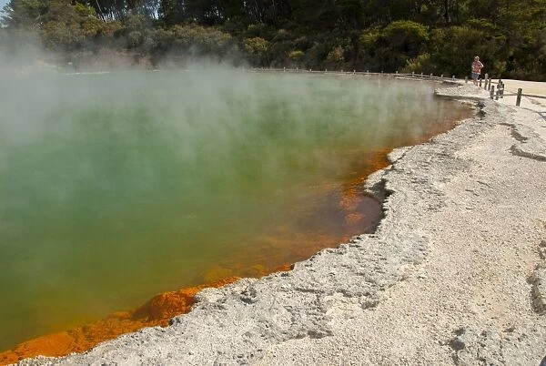 Champagne Pool, in Waiotapu geothermal area, Rotorua, North Island, New Zealand, Pacific