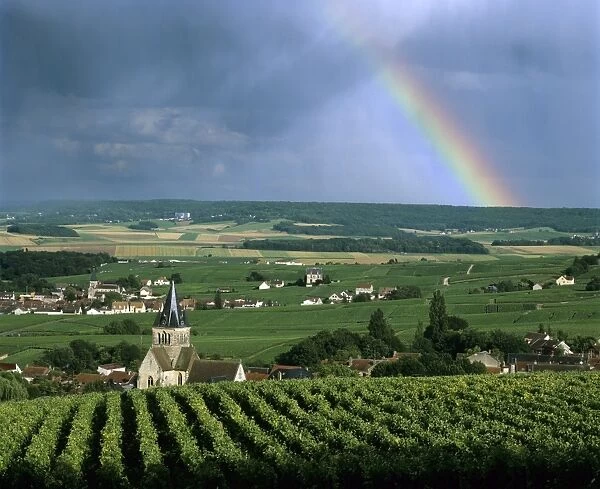 Champagne vineyards and rainbow, Ville-Dommange, near Reims, Champagne, France, Europe