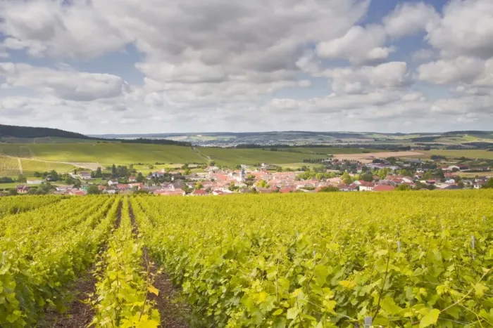 Framed Print : Champagne vineyards above the village of Baroville in the Cote des Bar area of Aube, Champagne-Ardennes, France, Europe