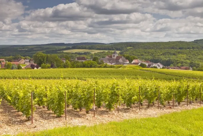 Framed Print : Champagne vineyards above the village of Landreville in the Cote des Bar area of Aube, Champagne-Ardennes, France, Europe Framed Print : Champagne vineyards above the village of Landreville in the Cote des Bar area of Aube, Champagne-Ardennes, France, Europe