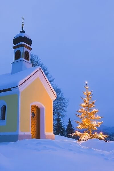 Chapel with Christmas Tree in Winter near Krun, Garmisch-Partenkirchen, Bavaria, Germany, Europe