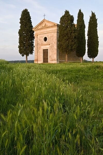 Chapel Madonna di Vitaleta, Val d Orcia, near Pienza, Tuscany, Italy, Europe