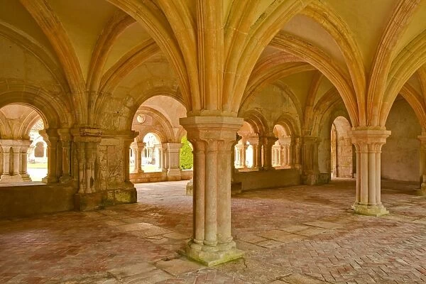 The chapter house of Fontenay Abbey, UNESCO World Heritage Site, Cote d Or, Burgundy, France, Europe