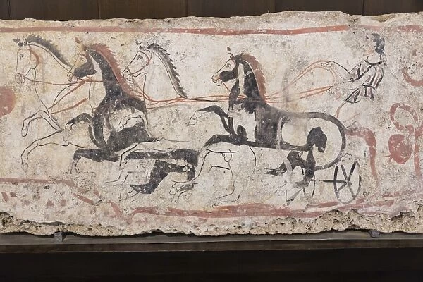 Charioteer and horses, painted tomb slab detail, National Archaeological Museum, Paestum