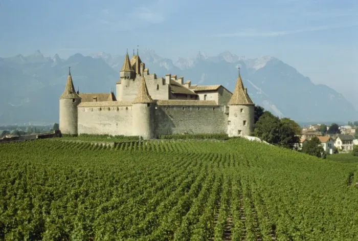 Framed Print : Chateau d Aigle Framed Print : Chateau d Aigle