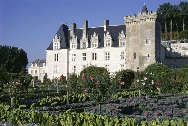 Chateau and gardens including vegetables in potager, Chateau de Villandry