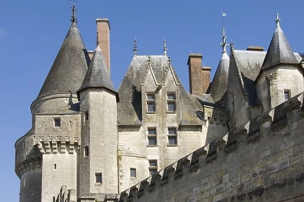 Chateau Langeais, Indre le Loire, France, Europe