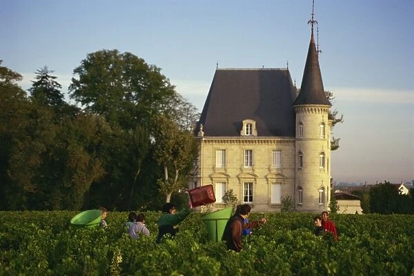 Chateau Pichon Longueville, Medoc, Pauillac, Aquitaine, France, Europe