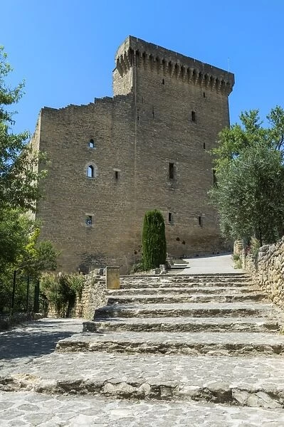 Chateuneuf du Pape, Castle, Vaucluse, Provence Alpes Cote d Azur region, France, Europe