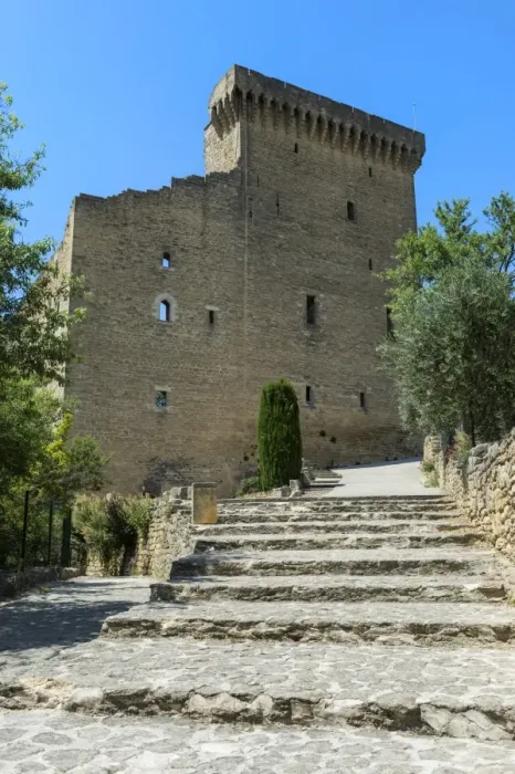 Framed Print : Chateuneuf du Pape, Castle, Vaucluse, Provence Alpes Cote d Azur region, France, Europe Framed Print : Chateuneuf du Pape, Castle, Vaucluse, Provence Alpes Cote d Azur region, France, Europe