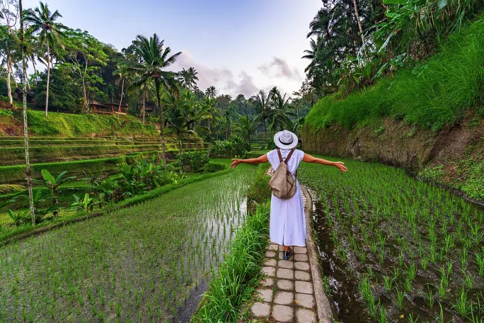 Framed Print : Cheerful woman with arms outstretched standing on footpath amidst paddy fields, Ubud, Bali, Indonesia Framed Print : Cheerful woman with arms outstretched standing on footpath amidst paddy fields, Ubud, Bali, Indonesia
