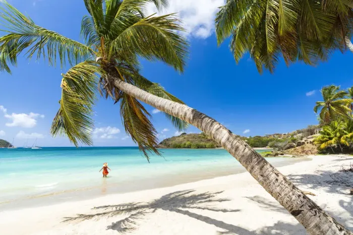 Framed Print : Cheerful woman sunbathing in the crystal Caribbean sea, Antigua, Leeward Islands, West Indies, Caribbean, Central America Framed Print : Cheerful woman sunbathing in the crystal Caribbean sea, Antigua, Leeward Islands, West Indies, Caribbean, Central America