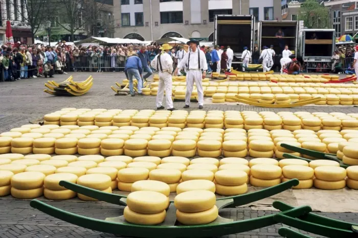 Framed Print : Cheese market Framed Print : Cheese market