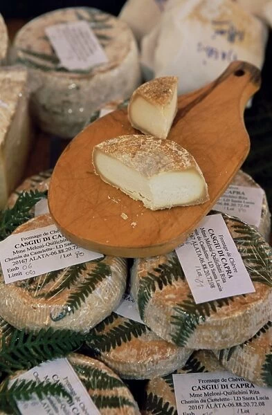 Cheese in the market, Ajaccio, Corsica, France, Europe