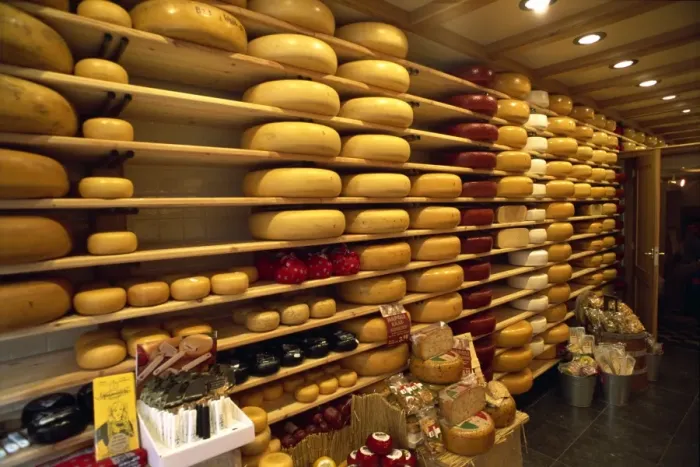 Framed Print : Cheeses, Gouda Framed Print : Cheeses, Gouda