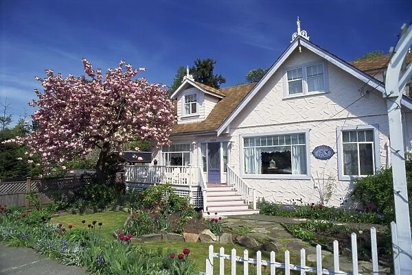 Chemainus Bed & Breakfast house and garden with flowering cherry tree on Vancouver Island