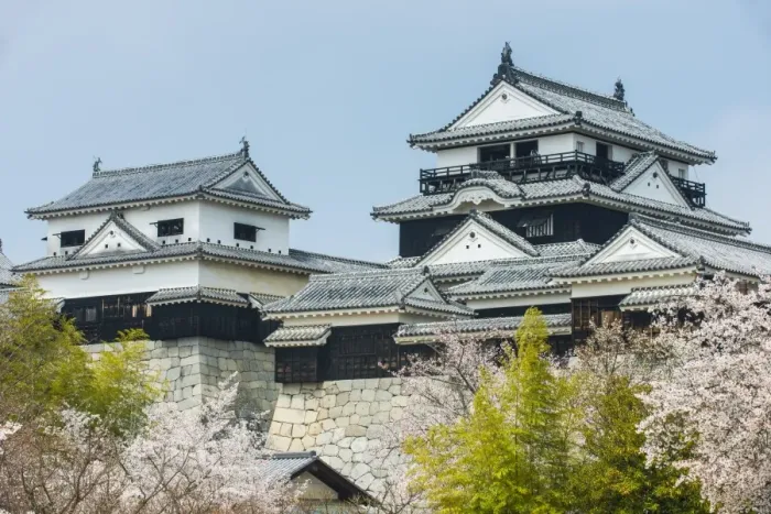 Framed Print : Cherry blossom in the Matsuyama Castle, Shikoku, Japan, Asia Framed Print : Cherry blossom in the Matsuyama Castle, Shikoku, Japan, Asia