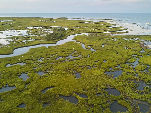 Chesapeake Bay saltmarsh and winding creeks of the Plumtree National Wildlife Refuge