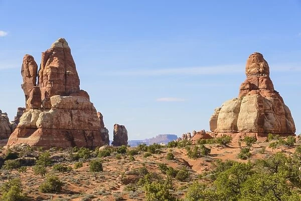 Chesler Park, The Needles section of Canyonlands National Park, Utah, United States of America, North America