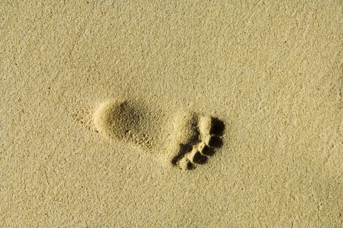 Framed Print : Childs footprints on beach at Santa Maria, Sal (Salt), Cape Verde Islands, Africa Framed Print : Childs footprints on beach at Santa Maria, Sal (Salt), Cape Verde Islands, Africa
