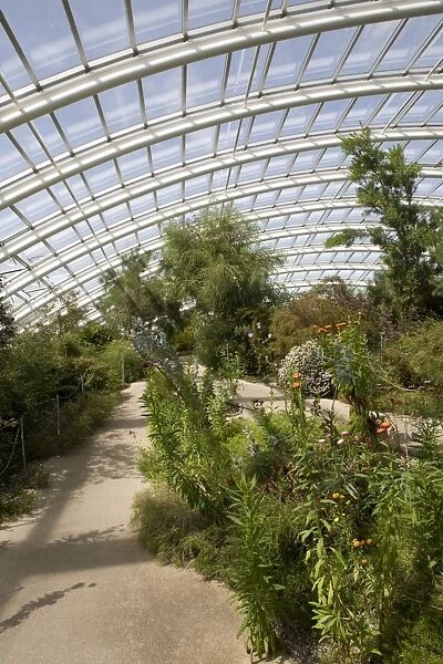 Chilean and Californian area of the Great Glasshouse, National Botanic Garden of Wales
