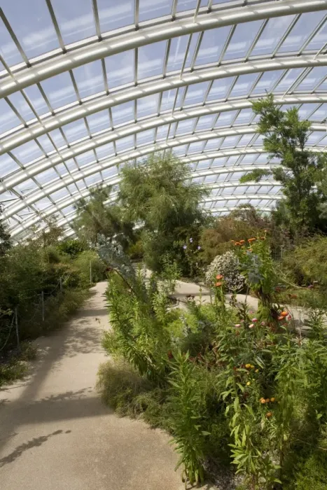 Framed Print : Chilean and Californian area of the Great Glasshouse, National Botanic Garden of Wales Framed Print : Chilean and Californian area of the Great Glasshouse, National Botanic Garden of Wales